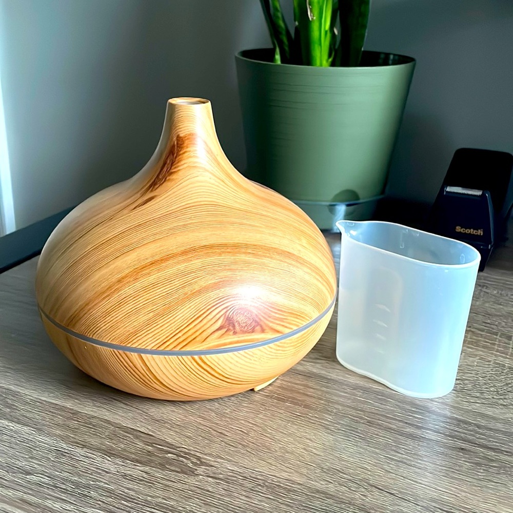 Plug in diffuser